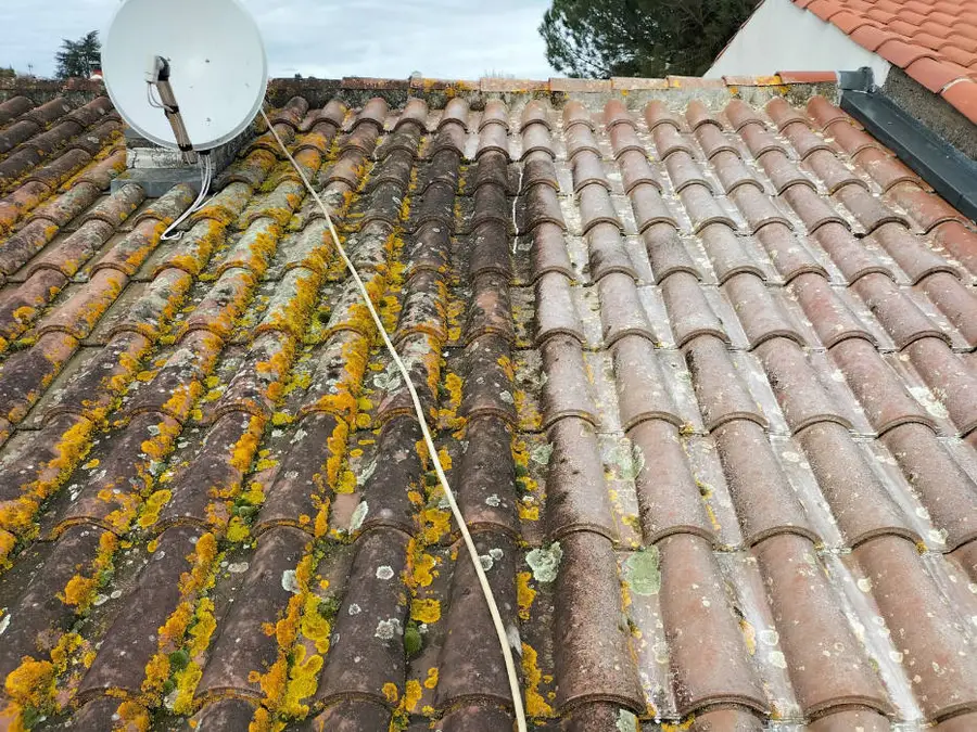 Nettoyage & démoussage à Launac